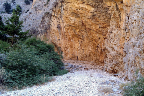 Desde Rethymno / Chania: Caminata por el desfiladero de ImbrosTour privado