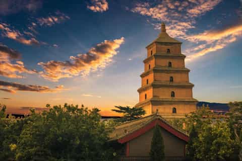 The best Xi'an Walking tours - 2026 (Verified Reviews)