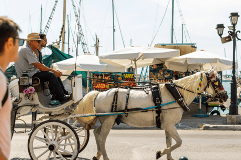Athens: Aegina, Agistri & Metopi Swimming Cruise with lunch Cruise with Pickup From Select Hotels in Athens