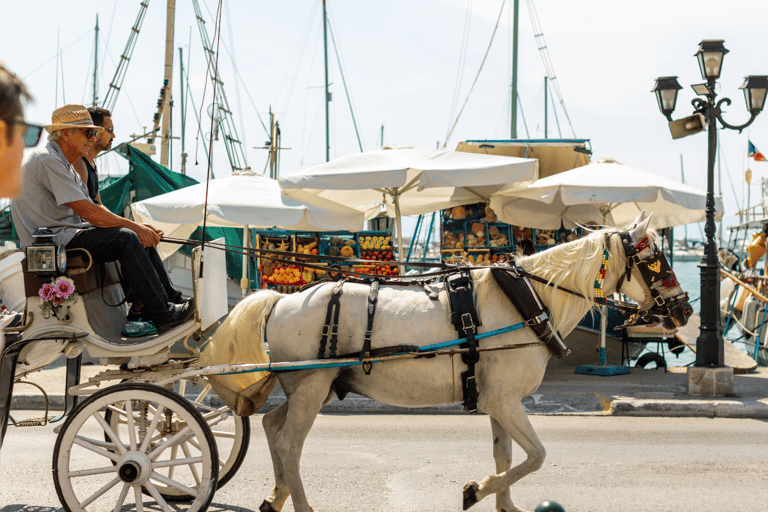 Athens: Aegina, Agistri & Metopi Swimming Cruise with lunch Cruise with Pickup From Select Hotels in Athens