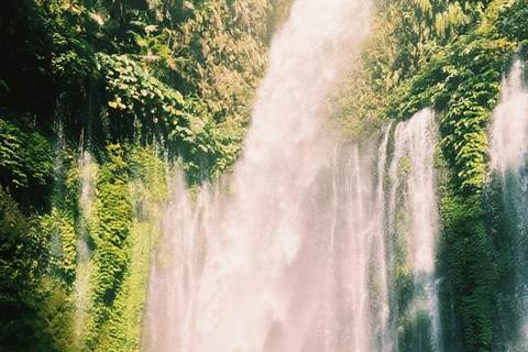 Tiu kelep Waterfalls, Selong Hill, & Pusuk Sembalun Day Trip