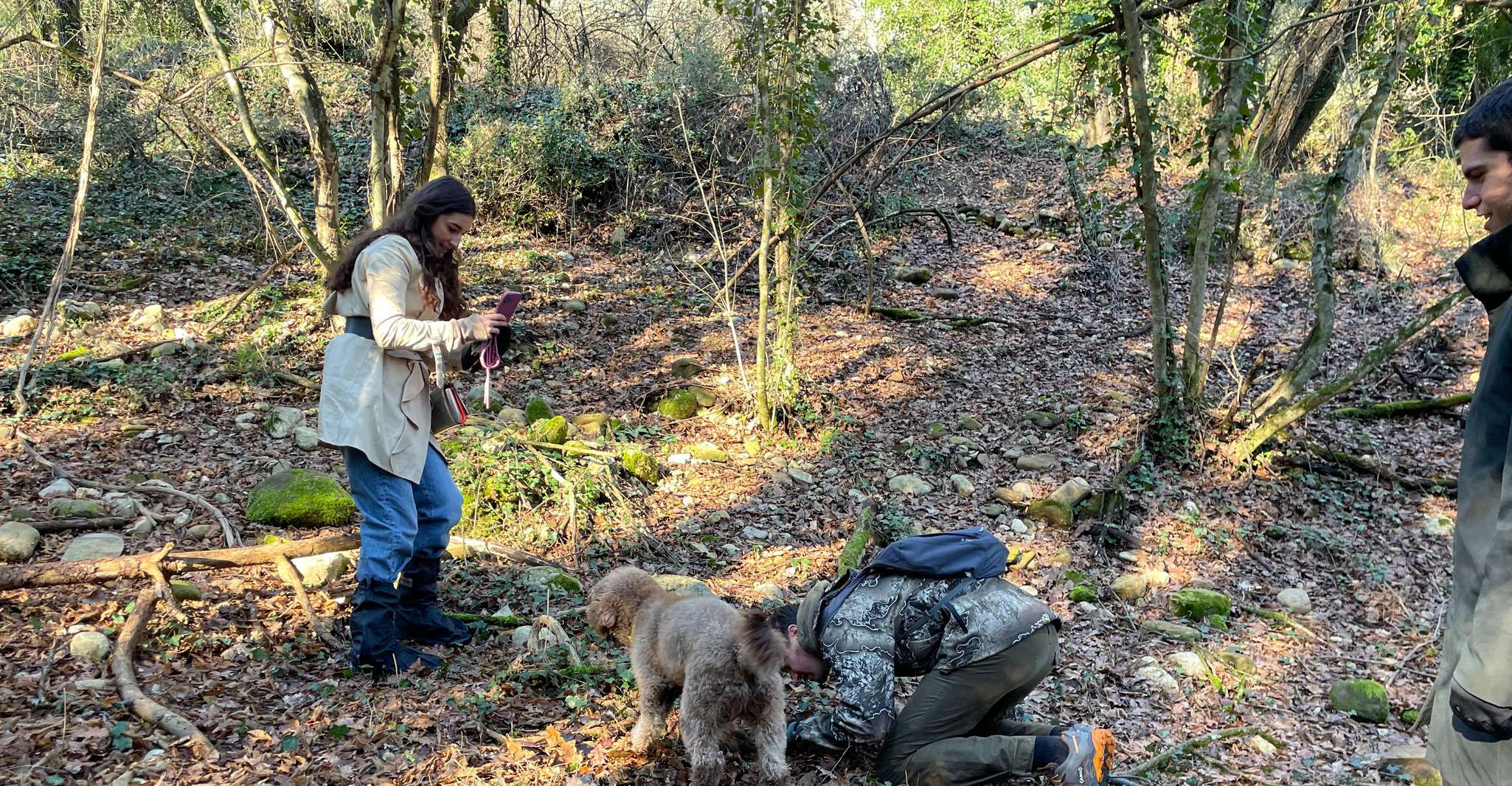 Truffle Hunting in Chianti with Pasta CookingClass and Lunch - Housity