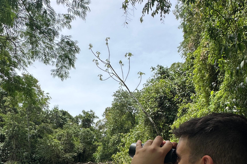 Hiking in Iguaçu National Park: A nature hike Trails in Iguaçu National Park: A hike through nature