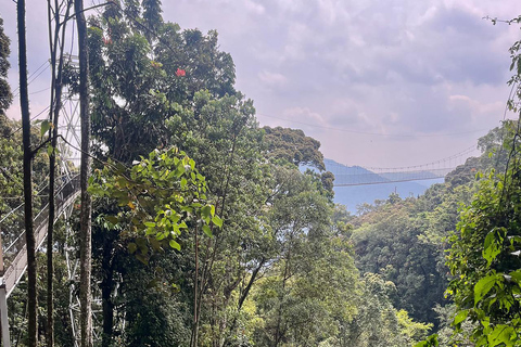 Kigali:1 Day Nyungwe Canopy Walk & Waterfall Tour adventure