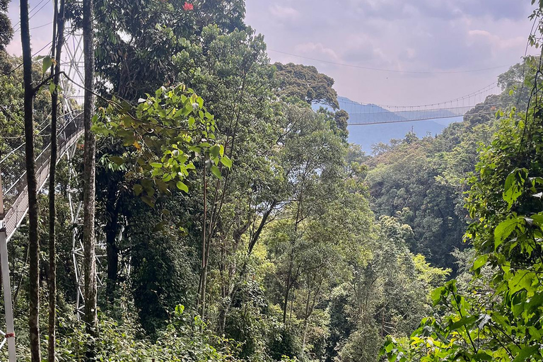 Kigali:1 Day Nyungwe Canopy Walk & Waterfall Tour adventure