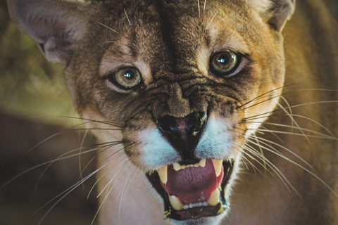 Santa Cruz: Wildlife Sanctuary and Preservation Park Tour