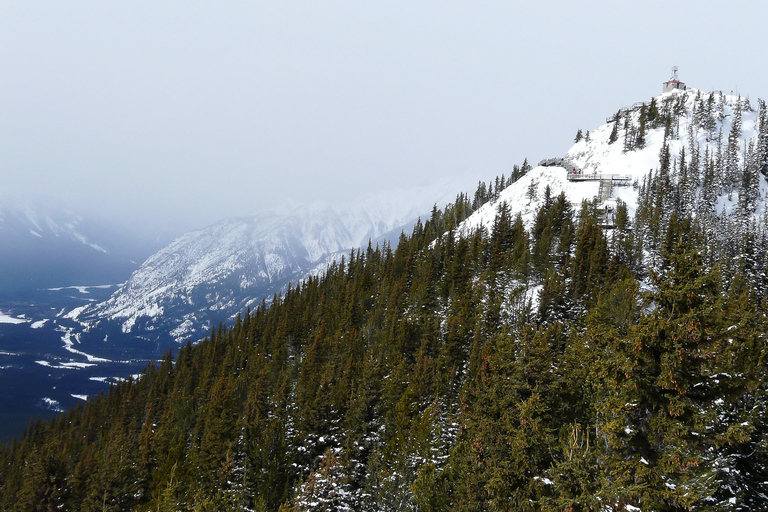 Tunnel Mountain Trail: Nature Tour with Audio Guide