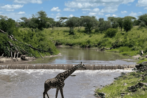 Tanzania: 13-Day Safari & Zanzibar Beach Holiday