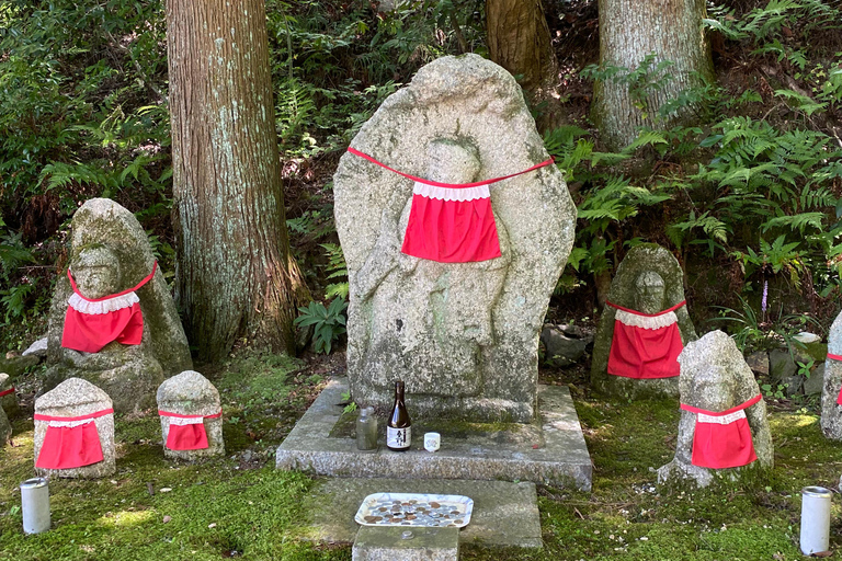 Entdecke Nara, Kiyozumi-dera &amp; Fushimi Inari von Osaka aus