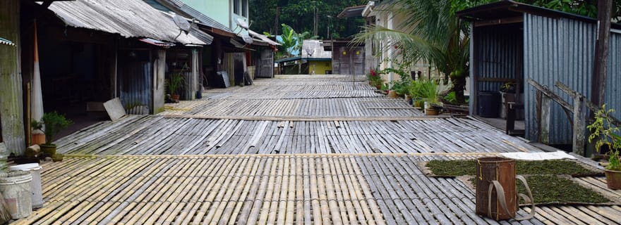 Kuching : visite de la maison longue d'Annah Rais avec déjeuner