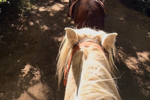Provence: 2-hour Western horseback riding tour, refreshing break in the river Provence: 2-Hour Western Horseback Riding Tour, Refreshing Break in the River