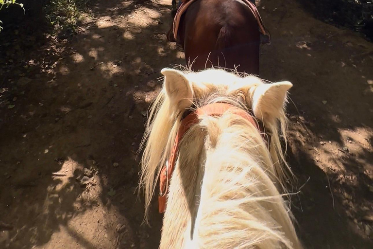 Provence: 2-hour Western horseback riding tour, refreshing break in the river Provence: 2-Hour Western Horseback Riding Tour, Refreshing Break in the River