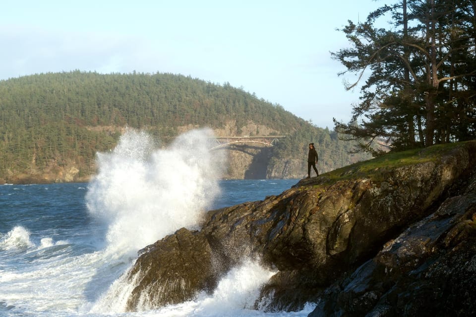 Seattle: Whidbey Island Deception Pass + Fågelskådningstur På Vintern ...