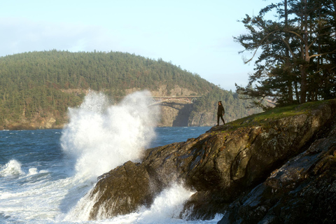 Seattle: Whidbey Island Deception Pass + Winter Birding Trip