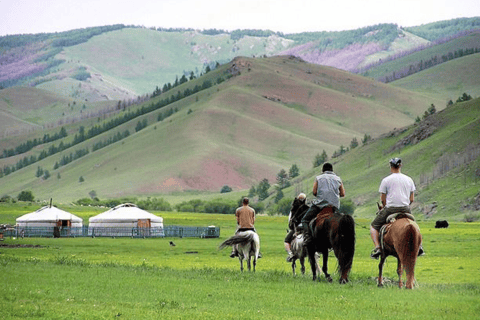 2 DÍAS de pastoreo de ovejas y senderismo a caballo con NÓMADAS MONGOLIAS