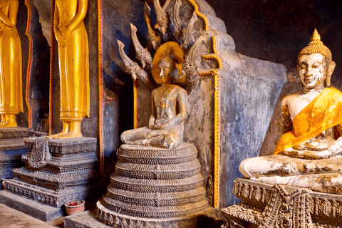 Phuket: Bamboo Rafting, ATV Ride, & Turtle Center Tour