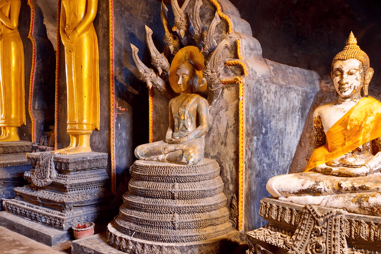 Phuket: Bamboo Rafting, ATV Ride, & Turtle Center Tour