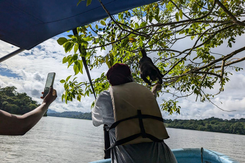 Panama City: Małpia Wyspa i rejs wycieczkowy po jeziorze Gatun