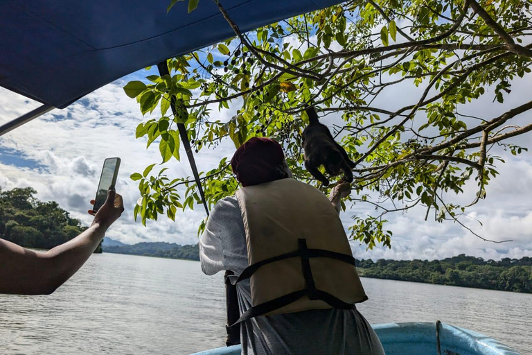 Panama City: Małpia Wyspa i rejs wycieczkowy po jeziorze Gatun