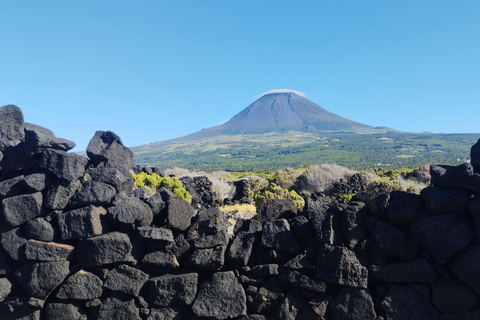 Pico Grand Tour: Volcanoes, UNESCO Vineyards & Local Culture