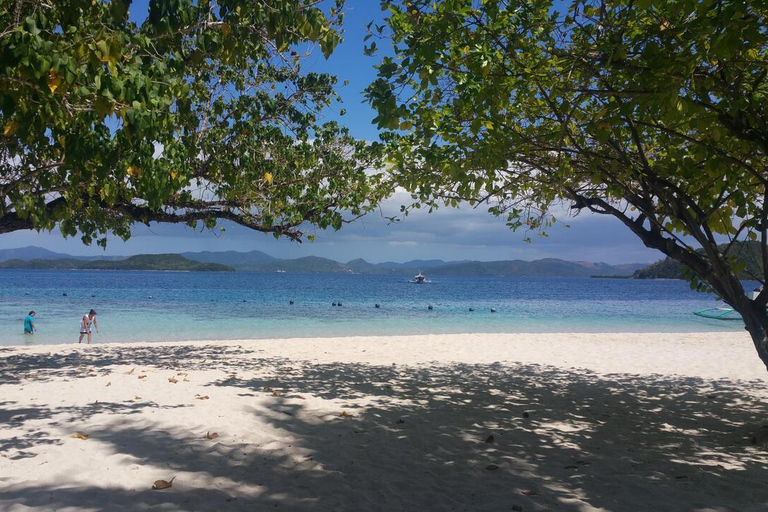 Isola di Coron: tour della barriera corallina e dei relitti (JOINERS)
