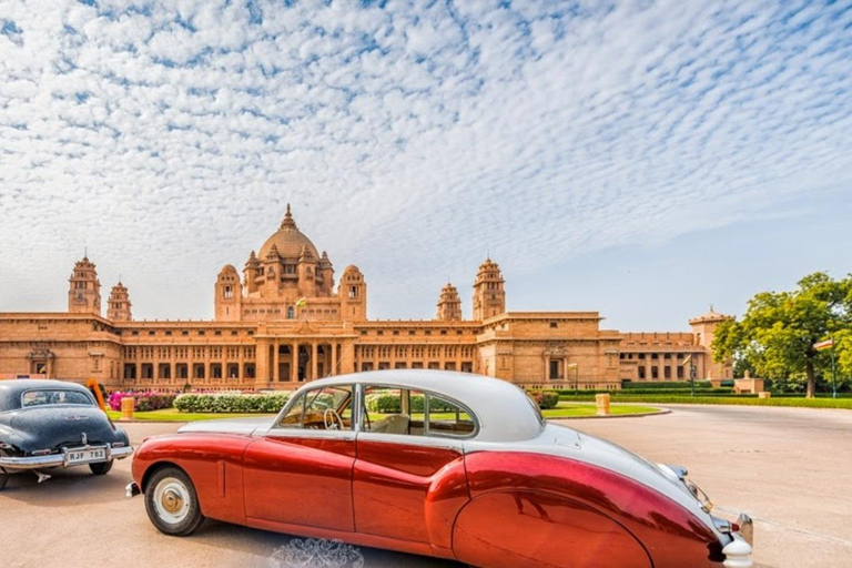 焦特布尔：全日导览游（含午餐和入场费）焦特布尔：全天导览游（含午餐和入场费）