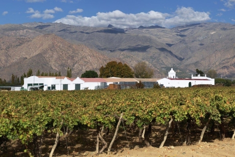 Van Salta: Cafayate, land van wijnen en imposante ravijnenSalta: Cafayate, land van wijnen.