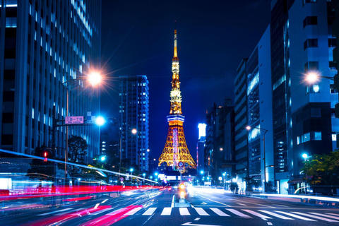 Excursão de 1 dia a Tóquio: Skytree, Santuário Meiji com motorista inglês