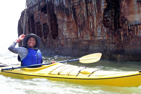 SS Selma Concreate Shipwreck | Historical WWI Landmark