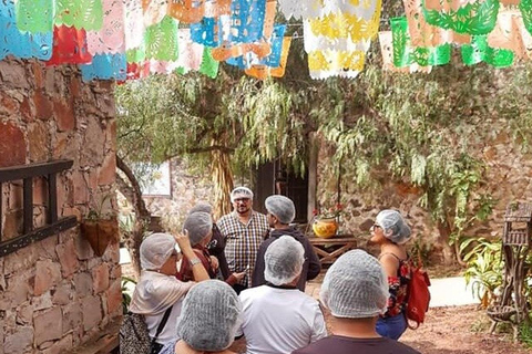 Mexico : visite privée de Querétaro avec dégustation de fromages et de vinsMexico : visite privée avec dégustation de fromages et de vins à Querétaro