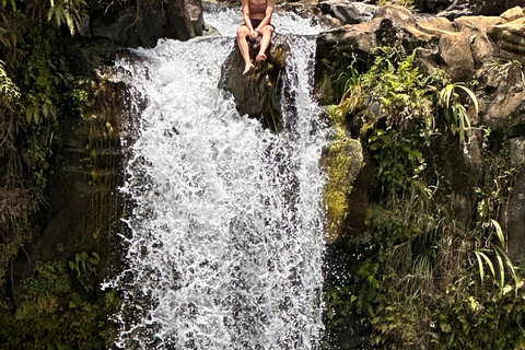 Maui: Full-Day Hana Tour with Snacks and Drinks