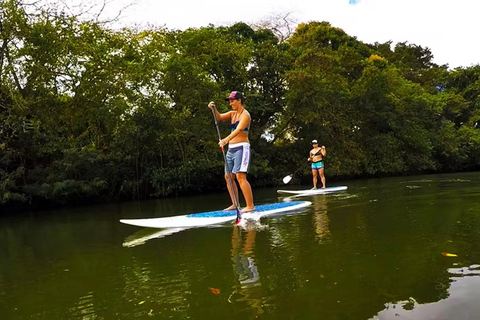 Oahu: Avontuurlijke Noordkust Tour met LunchOahu: Avontuurlijke Noordkust Tour