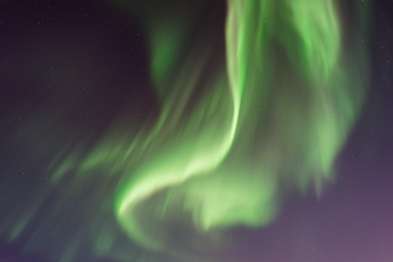 From Tromsø: Aurora Snowshoe Hike