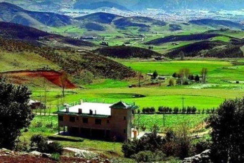 From Fez: Middle Atlas Ifran and Forest of Monkeys Day Trip
