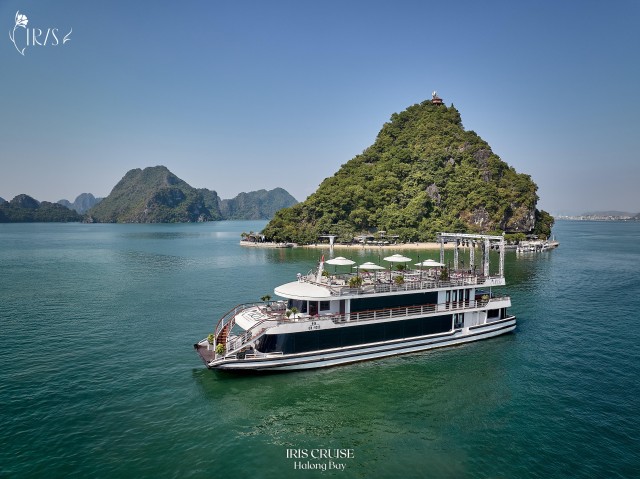 Visit Ha Long Bay Luxury Day Cruise, Caves, Jacuzzi, Buffet Lunch in Ha Long Bay