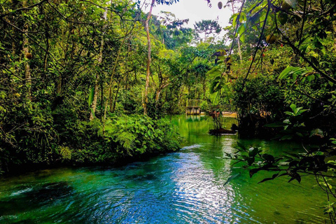 Paraíso da vida selvagem - Reserva Alto Mayo de Tarapoto