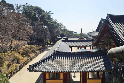 Visite de Gyeongju : Taxi public Voiture privéeVisite de Gyeongju en taxi (5 heures)