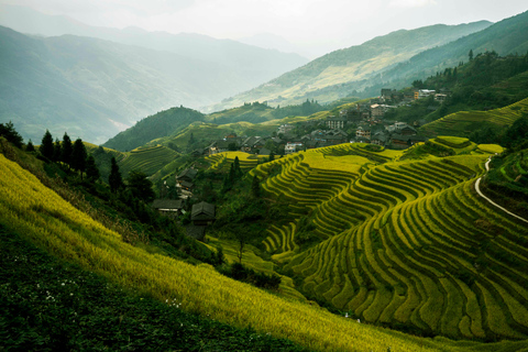 Guilin, Longji Rice Terraces & Yangshuo 4-Day Tour