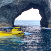 Paihia: Hole in the Rock Fast Boat Ocean Adventure
