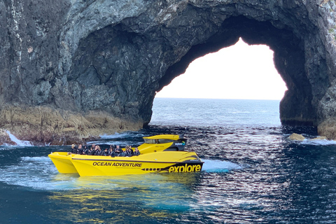 Baia delle Isole HOLE IN THE ROCK e WAITANGI TREATY GROUNDS