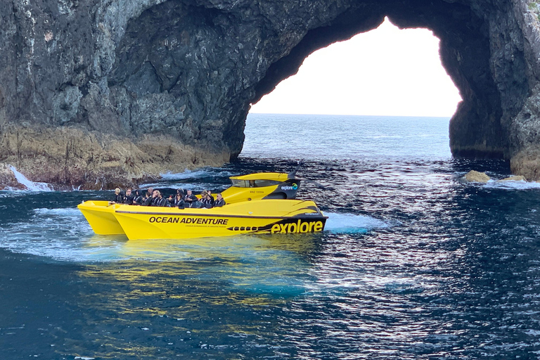 Baia delle Isole HOLE IN THE ROCK e WAITANGI TREATY GROUNDS