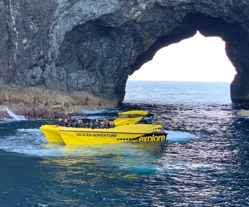 Paihia: Hole in the Rock Snelboot Oceaanavontuur
