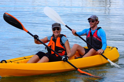 Mosman: Single or Double Kayak Rental 90-Minute Beginner Special - Image 2