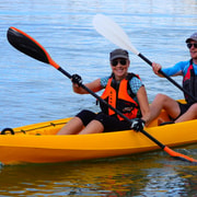 Mosman: Single or Double Kayak Rental 90-Minute Beginner Special