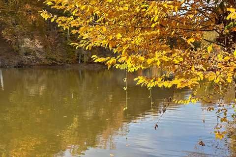 Hiking in Dilijan National Park: From Parz Lake to Goshavank