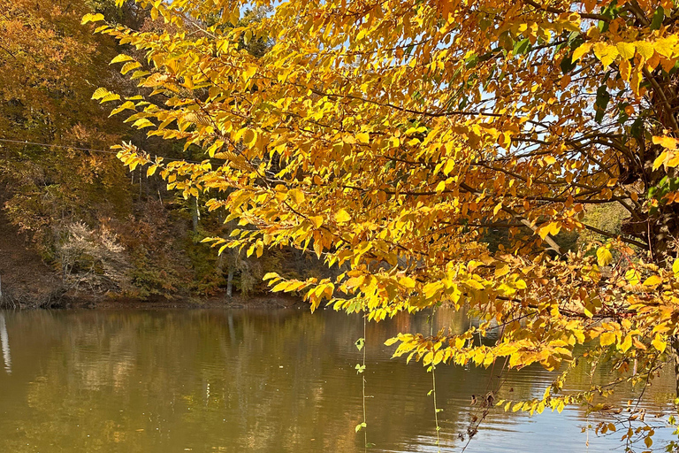 Hiking in Dilijan National Park: From Parz Lake to Goshavank