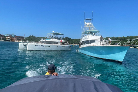 Puerto Plata: Catamaran Party with Snorkeling and Open Bar