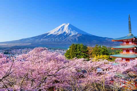 The BEST Mount Fuji Spring activities 2026 - FREE Cancellation