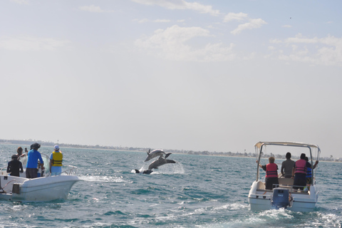 Djerba: Half-Day Boat Trip, Dolphin Watching, Swimming, and Lunch