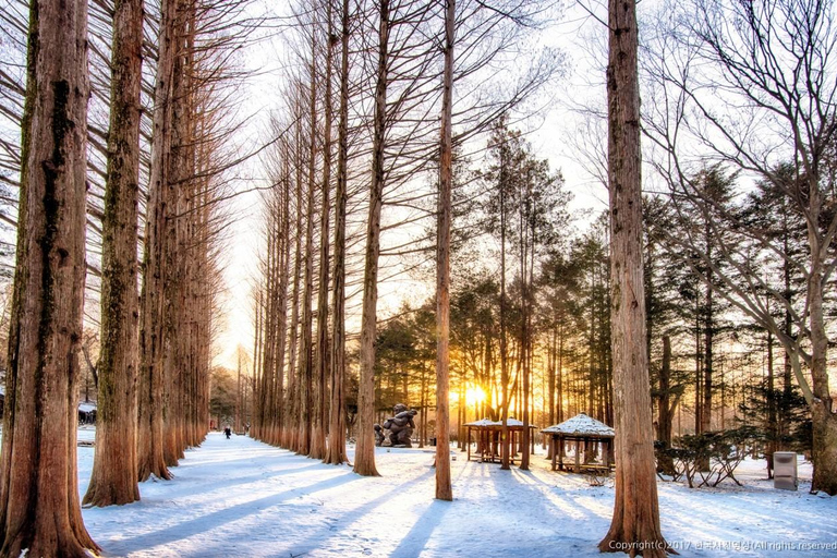 Nami Island, Petite France & optionele fietstour per treinNami Island, Petite France & Rail Bike, Myeongdong Station